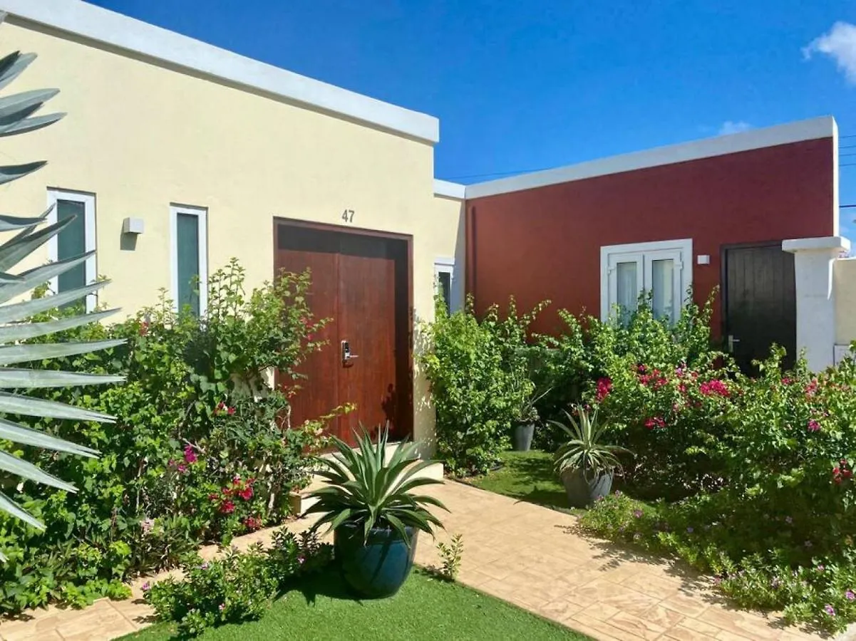 The Best Villa Ground Floor 5 Bedrooms With Ensuite Bathrooms At Prime Location Palm Beach 0*,  Aruba